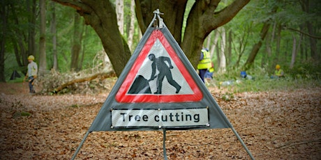 Volunteer day: hands-on conservation in Epping Forest primary image