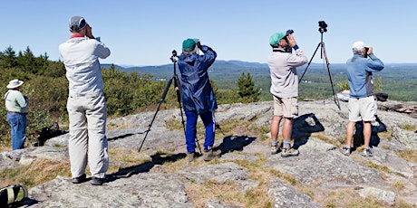 Mount Wachusett Hawk Watch with Peter Alden and Lillian Stokes primary image