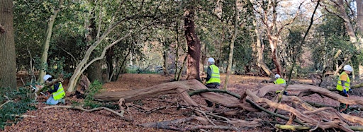 Collection image for Volunteer Days in Epping Forest
