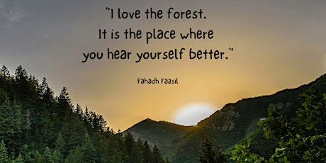 Introduction to Forest Bathing primary image
