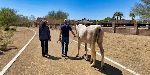 Equine Therapy Exercises & Arena EMDR  primärbild