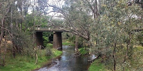 Bendigo emergency management consultation primary image