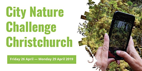 City Nature Challenge Christchurch 2019 - Field Trip Registration primary image