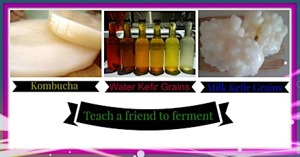 Teach a friend to ferment class primary image