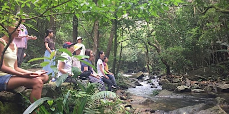 5月森林浴體驗：大埔滘之旅 