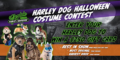 3rd Annual Harley-ween Dog Costume Contest
