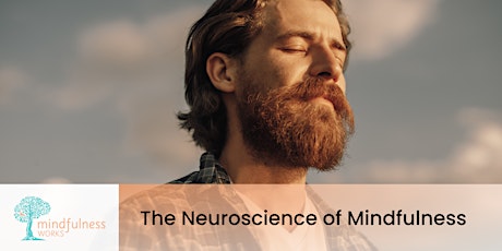 Image principale de The Neuroscience of Mindfulness | Mindfulness Plus