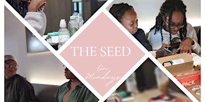 The Seed Bible Study primary image