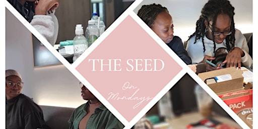 The Seed Bible Study  primärbild