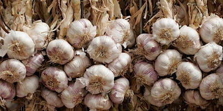 Missouri Garlic School 2019 primary image