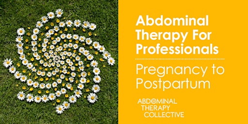 Imagem principal do evento Abdominal Therapy for Professionals: Pregnancy through Postpartum