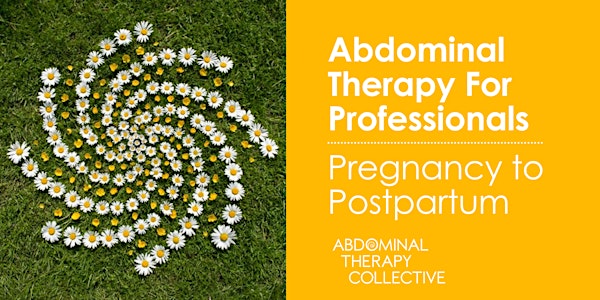 Abdominal Therapy for Professionals: Pregnancy through Postpartum