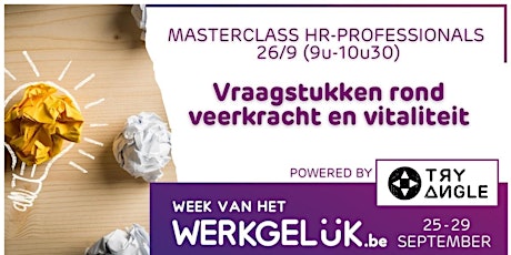 Hauptbild für Online Masterclass: Vraagstukken rond veerkracht en vitaliteit