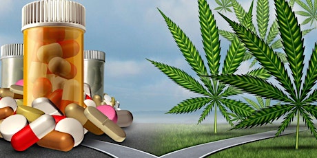 "Finding Your ReLeaf" - What to Know about Medical & Adult Use Cannabis  primärbild