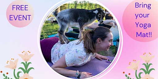 Imagem principal do evento Baby Pig & Goat Yoga