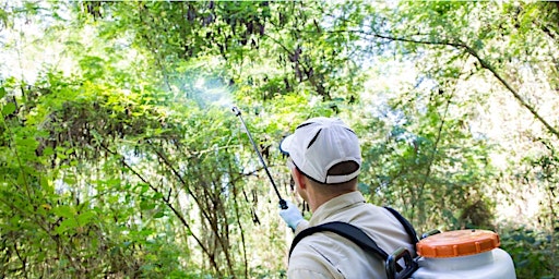 Primaire afbeelding van Natural Areas Weed Management Workshop