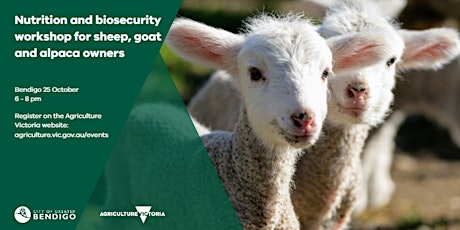 Image principale de Nutrition and biosecurity workshop for sheep, goat and alpaca owners