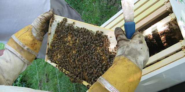 Image principale de HCBA BEE SCHOOL 2027