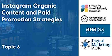 Instagram Organic Content and Paid Promotion Strategies