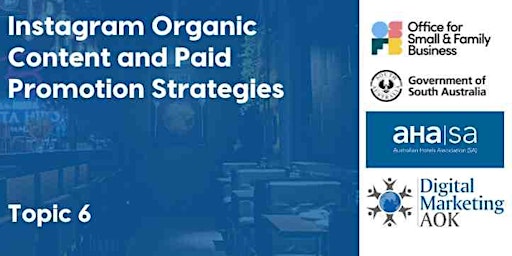 Imagen principal de Instagram Organic Content and Paid Promotion Strategies