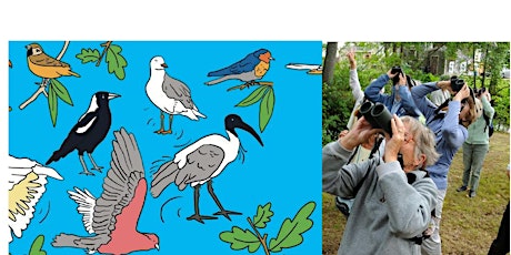 Bayside Council Bird Watching - Come and  join the Aussie Bird Count  primärbild