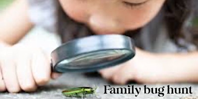 Family Bug Hunt  primärbild