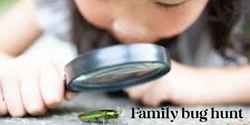 Imagen principal de Family Bug Hunt