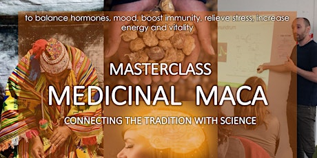 Medicinal Maca Masterclass - using maca to treat chronic conditions primary image
