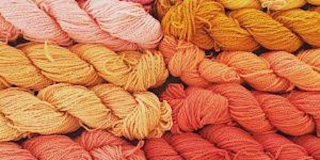 Saturday Warm Colors Dyeing with Brooke Sinnes of Sincere Sheep primary image