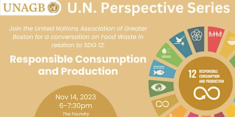 U.N. Perspective Series SDG 12: Responsible Consumption and Production primary image