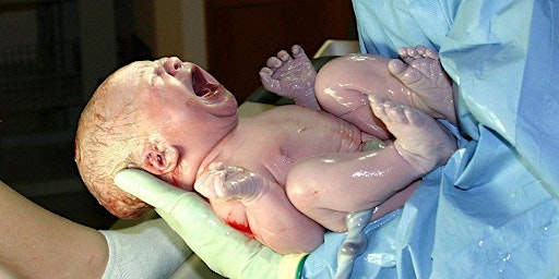 Imagem principal do evento Newborn Life Support (NLS) - Chelsea & Westminster Hospital,20/06/2024