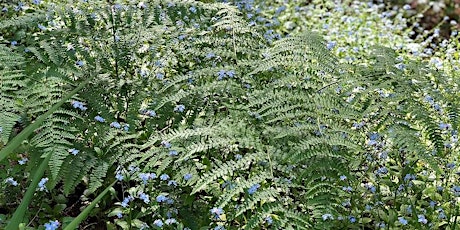 Gardening with Nature primary image