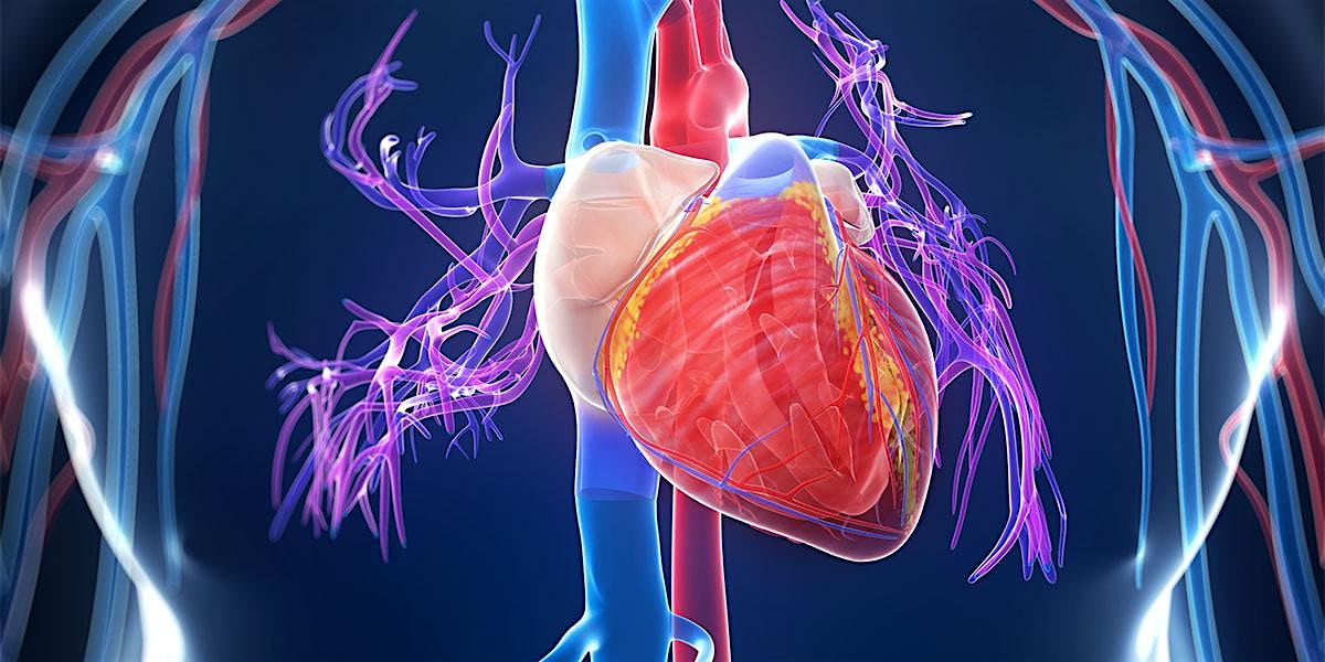 Cardiac Connection-Heart Failure