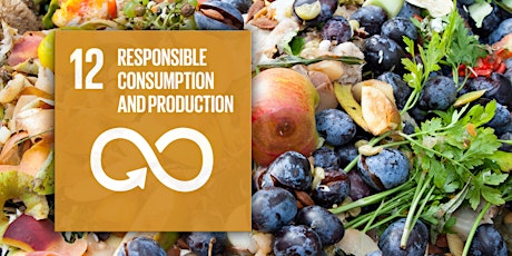 Primaire afbeelding van Entrepreneurship College #9 - SDG12 Sustainable Consumption and Production
