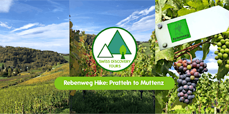 Rebenweg Hike  - Pratteln to Muttenz primary image