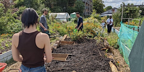 Growing For Change Sessions: Composting essentials and practical methods primary image