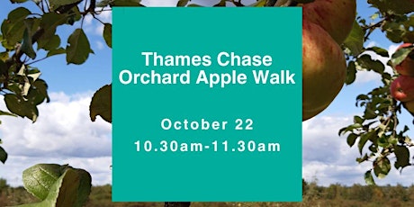Apple Day Orchard Walk primary image