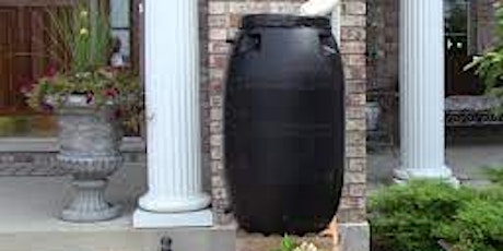 Saturday in the Gardens:  Rain Barrels