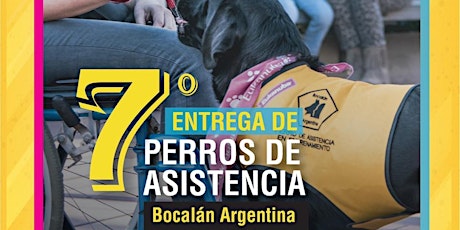 Imagen principal de 7ª Entrega de Perros de Asistencia . Bocalán Argentina