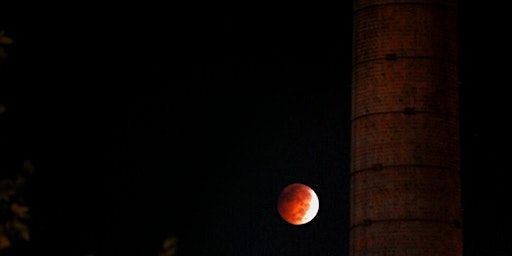 Immagine principale di Raleigh Ghost Walk 