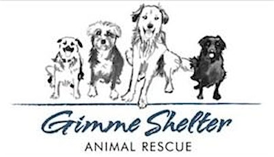 Gimme Shelter Animal Rescue's 3rd Annual Summer Benefit