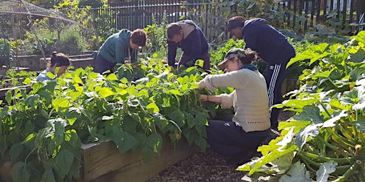 Gardening for Wellbeing -Spring/Summer primary image