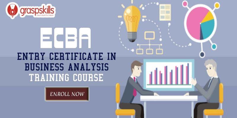 ECBA (Entry Certificate in Business Analysis) Training Course in Hamilton,Canada