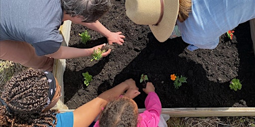 Primaire afbeelding van Saturdays on the Farm