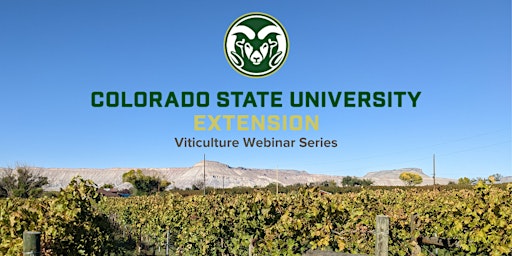 Colorado Viticulture webinar series - Japanese Beetle updates for Mesa primary image