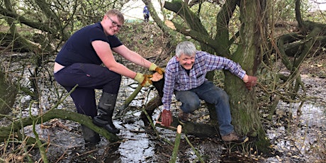 Open Farm Sunday 2019 at Moleneux Kale primary image