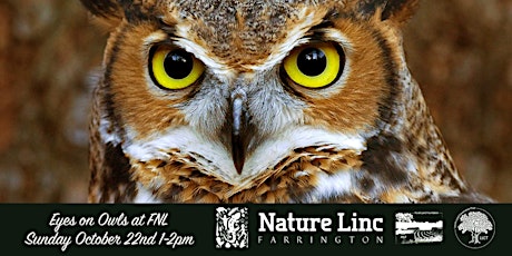 Eyes on Owls at Farrington Nature Linc - October 2023 primary image