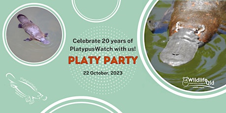 Imagem principal do evento Wildlife Queensland Platy Party