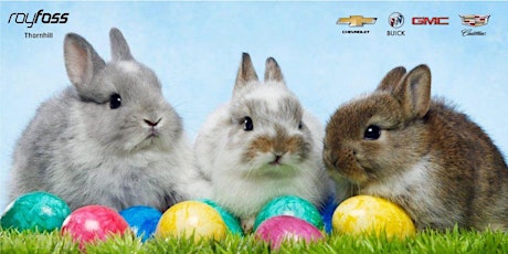 The Easter Bunny is Coming to Roy Foss Thornhill! primary image
