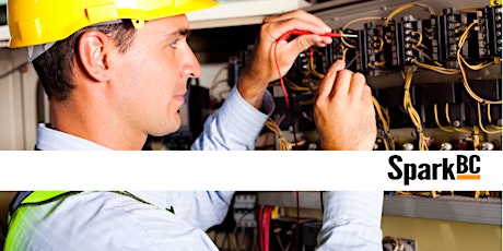 Pass Inspection the First Time:  Service Upgrades & Repairs primary image